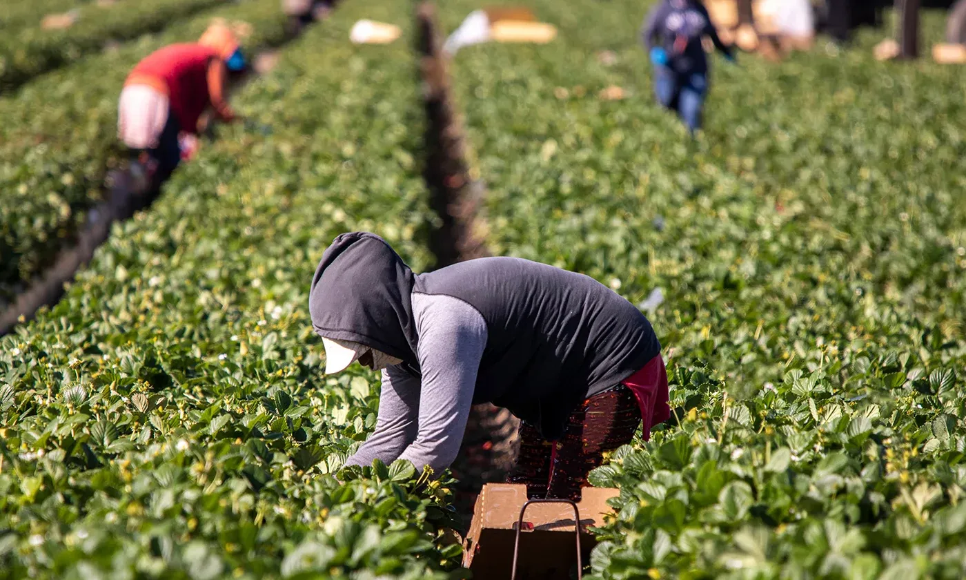 Thanks to GOP, Child Labor Makes a Comeback