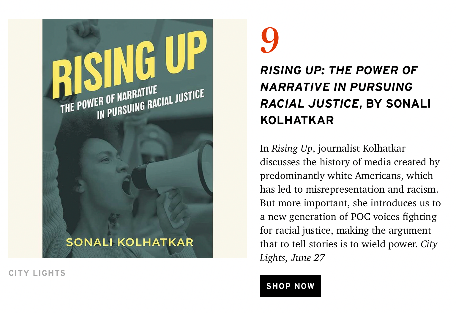 Rising Up: The Power of Narrative in Pursuing Racial Justice