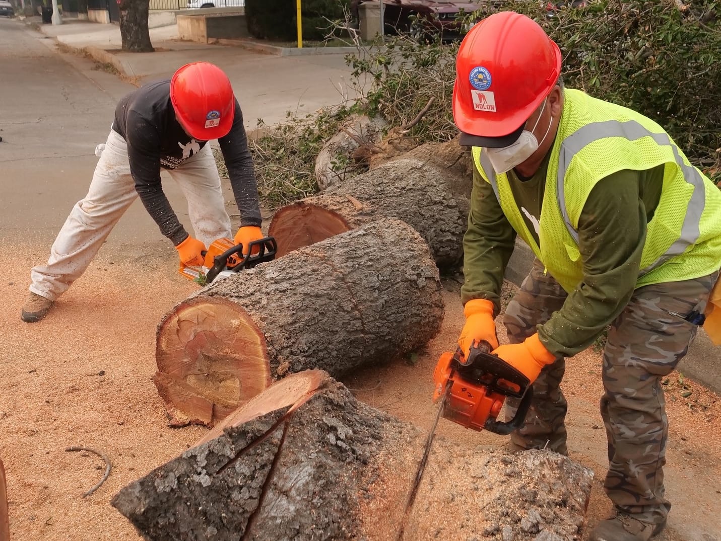 Migrant Workers Lead Cleanup Efforts in Altadena