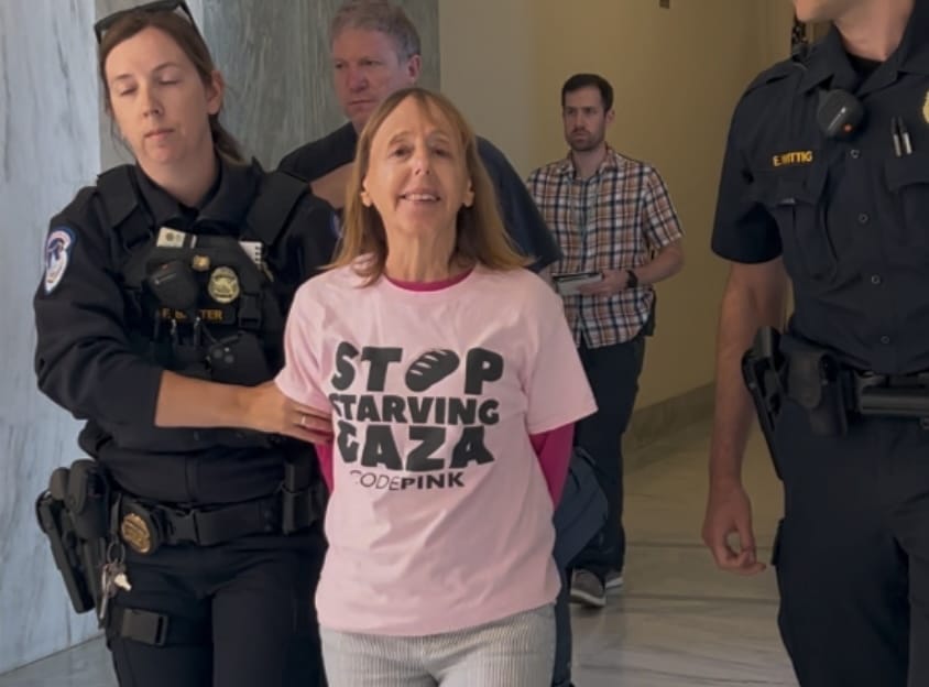 Medea Benjamin Holds Congress Members Accountable