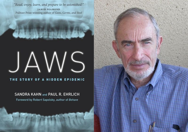 Jaws the story of a hidden epidemic rising up with sonali